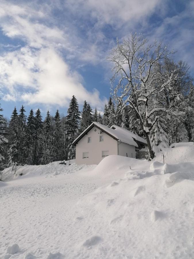 Ferienhaus Ploeckenstein Schwarzenberg am Bohmerwald Luaran gambar