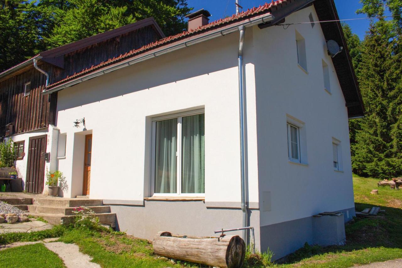 Ferienhaus Ploeckenstein Schwarzenberg am Bohmerwald Luaran gambar