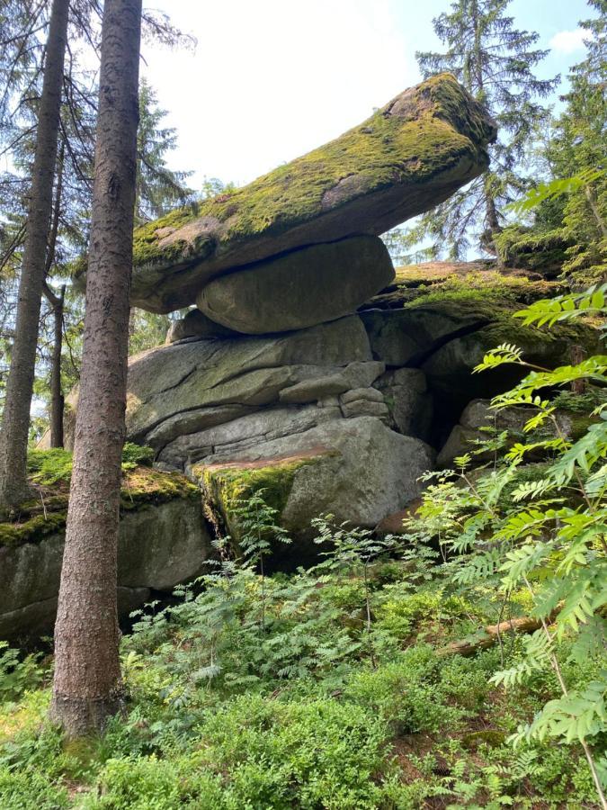 Ferienhaus Ploeckenstein Schwarzenberg am Bohmerwald Luaran gambar